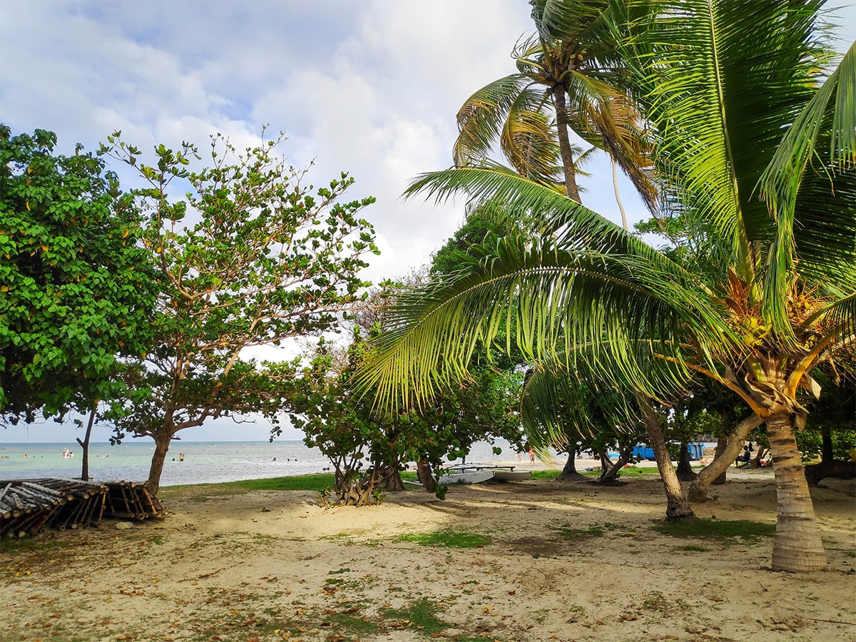 La Pointe Faula et ses activités