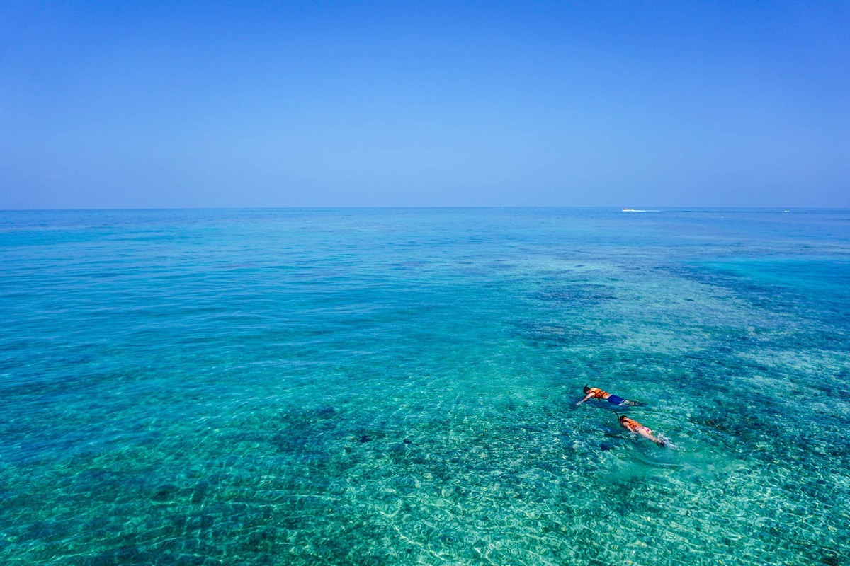 Top 5 : Les meilleurs spots de plongée de la Martinique