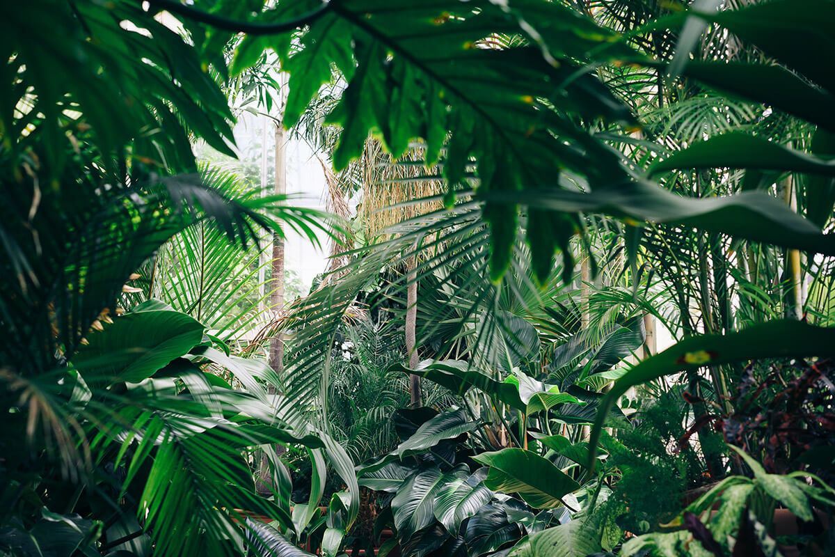 Les 6 bienfaits de la nature sur nous