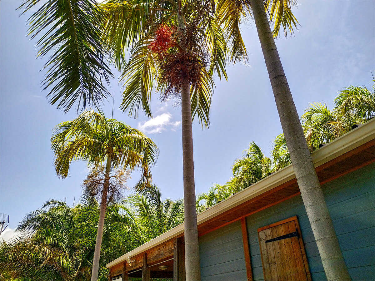 Location bungalow Martinique