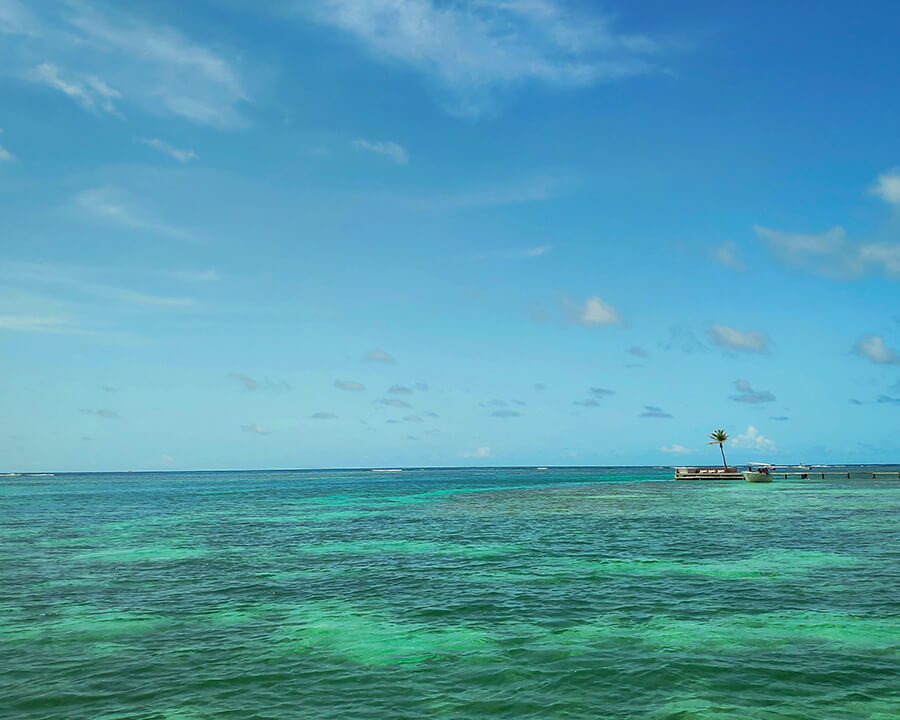 Meilleures activités «Tripadvisor» Martinique 2020-2021
