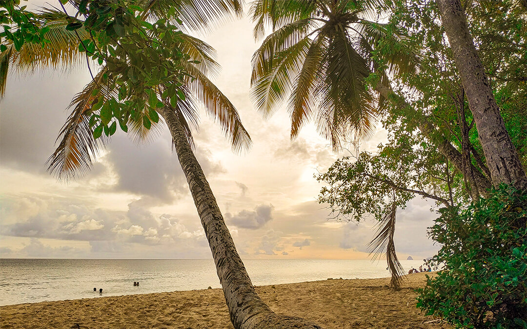 Vos vacances pas cher à la Martinique
